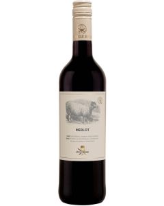 Recas Food Pairing Merlot