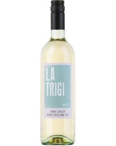Pinot Grigio Terre Siciliane