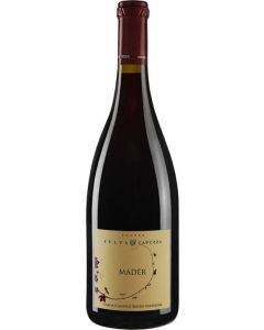 Riviera del Garda Rosso classico Superiore Mader DOP