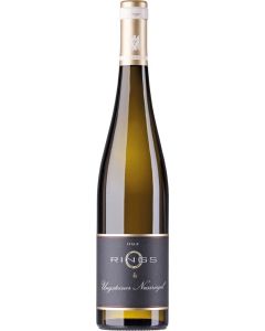 Ungstein Nussriegel Riesling QbA trocken