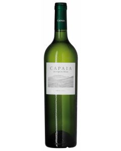 Sauvignon Blanc Philadelphia / Olifantskop - South Africa