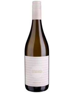 Frizzante Bianco Amabile DV